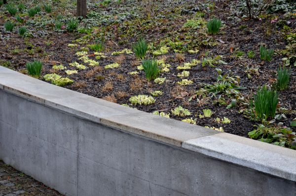 Concrete Wall Construction in Frisco