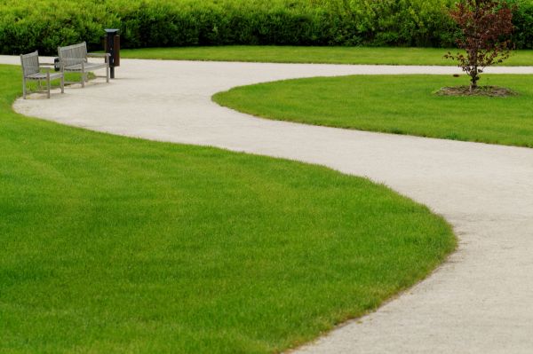 Sidewalk Concrete Service in Frisco