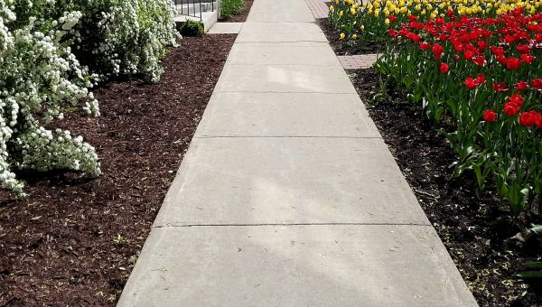 Cement Sidewalk Installation in Frisco