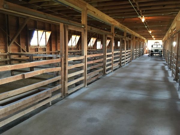 Barn Slab Construction in Frisco