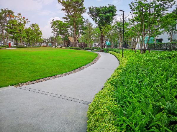 Cement Walkway Service in Frisco