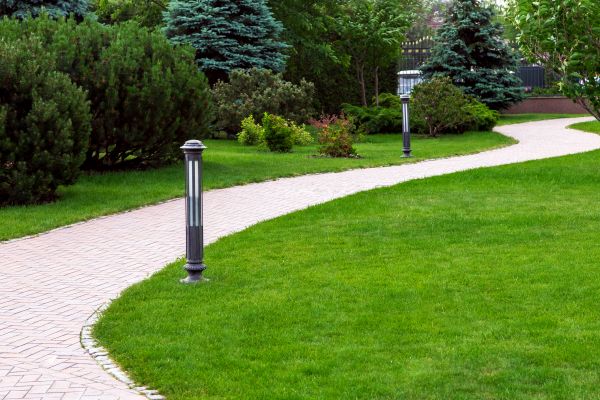Backyard Sidewalk Installation in Frisco